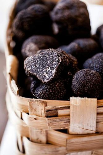 Provencal truffes