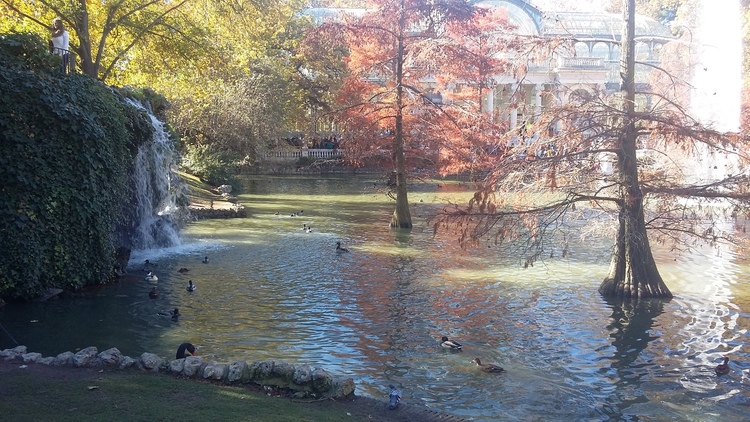 Retiro Park