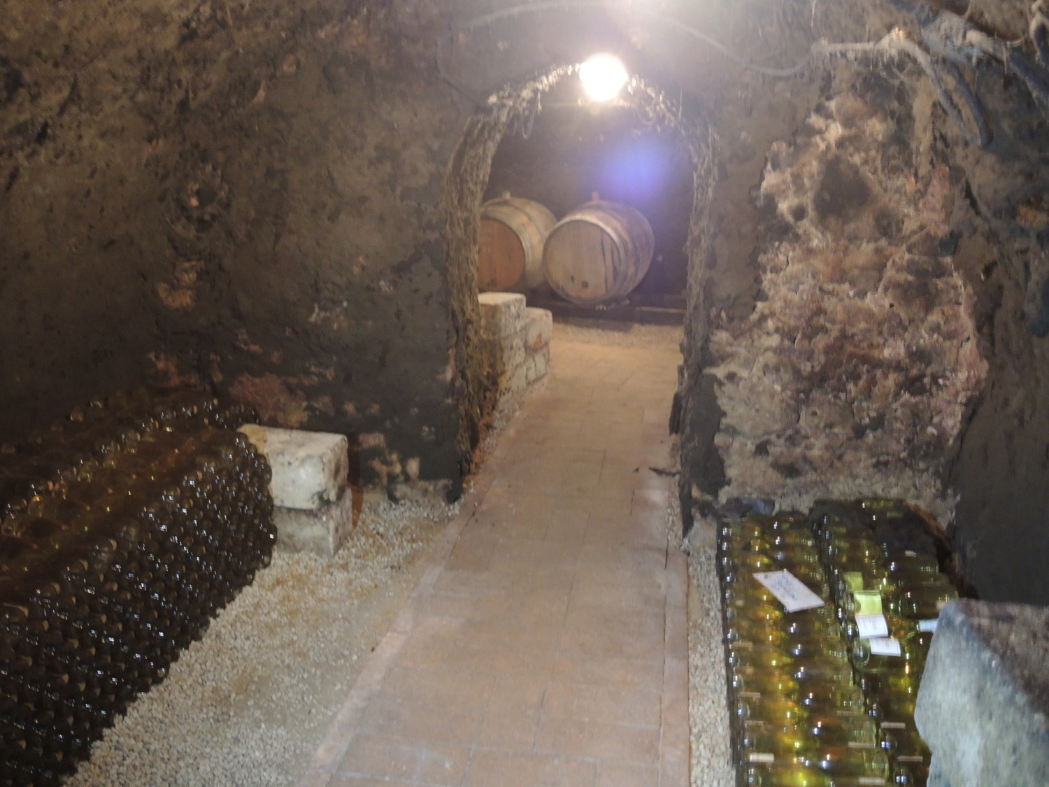 Trip to Hungary. Tokaj wine tasting, Erzsebet Pince cellar