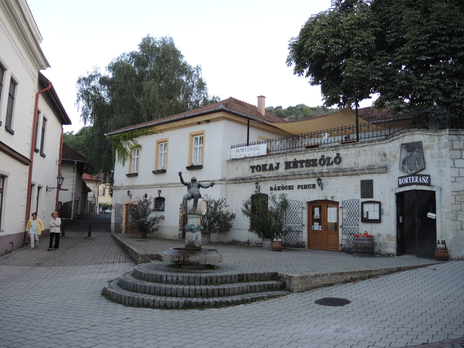 Trip to Hungary. Tokaj wine region