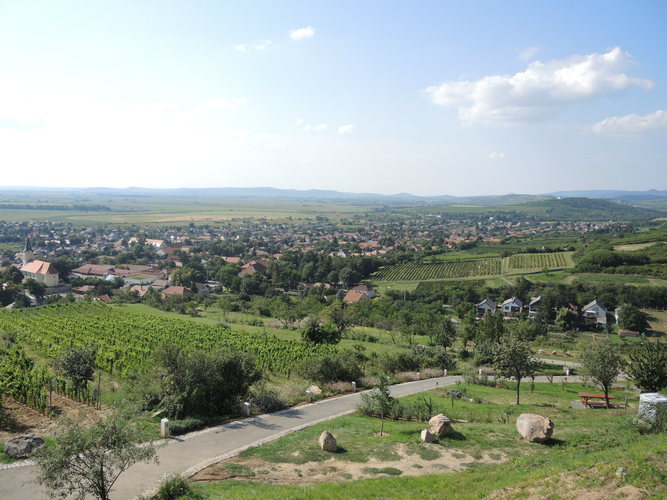 Trip to Hungary. Tokaj region, Tarcal city