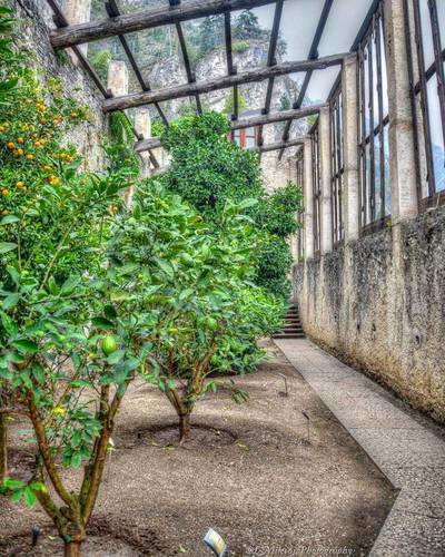 Limonaia del Castel, Lake Garda