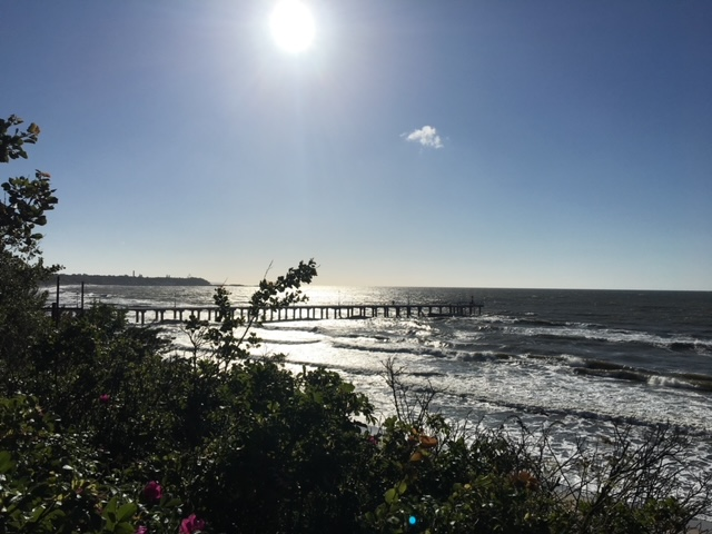 Promenade_at_the_Zelenogradsk_
