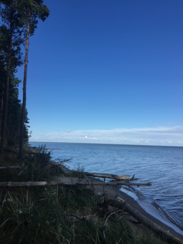 View_to_the_Baltic_sea_at_the_curonian_spit