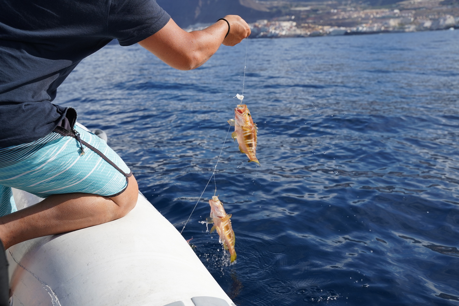 Fishing in Tenerife