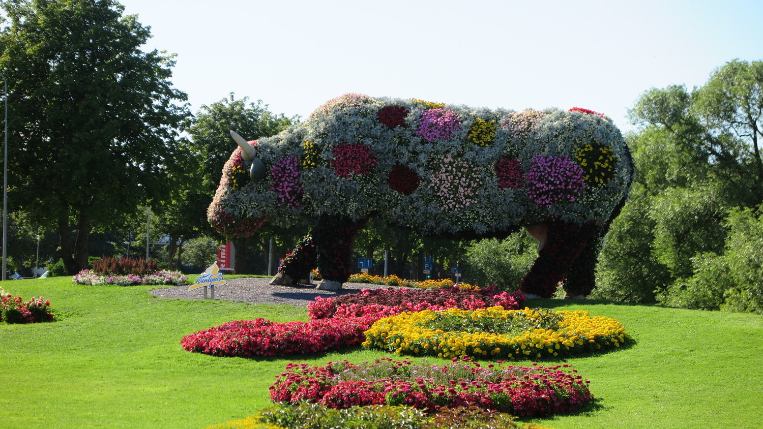 flower cow in ventspils