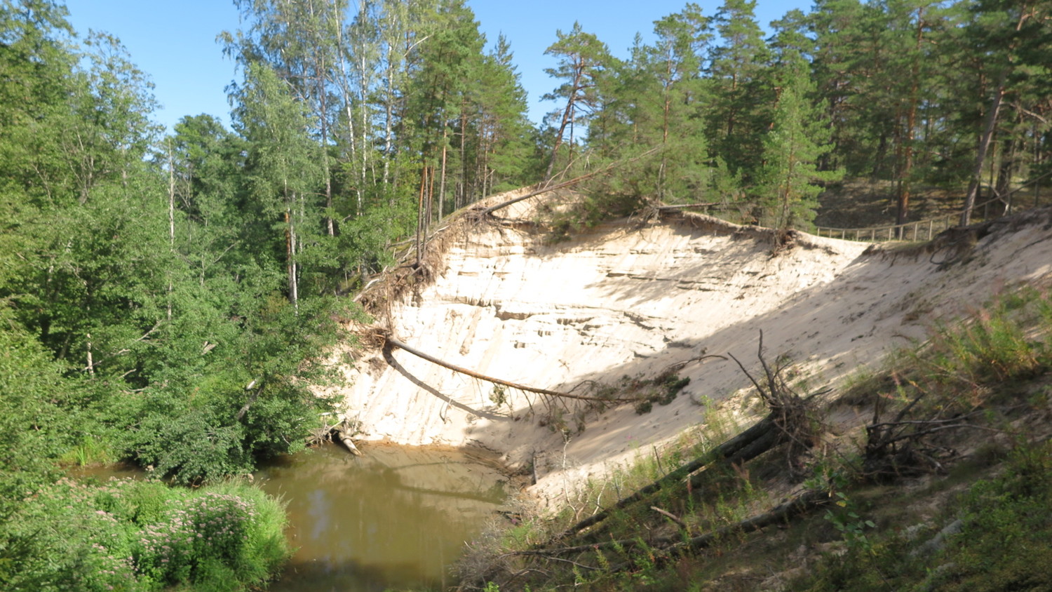 white dune