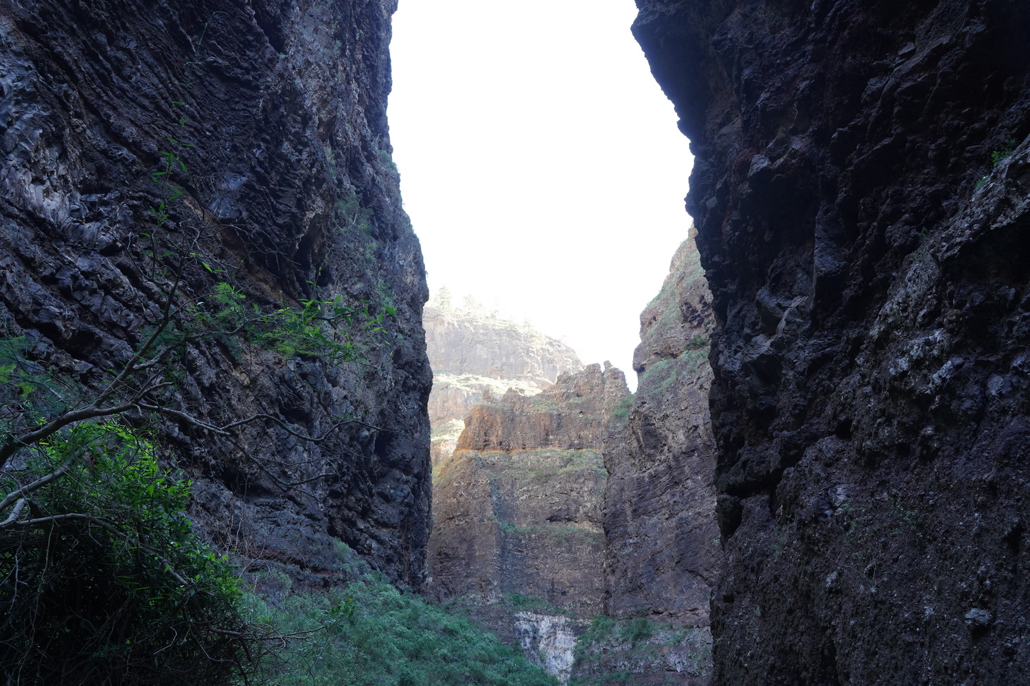 excursions to southern tenerife