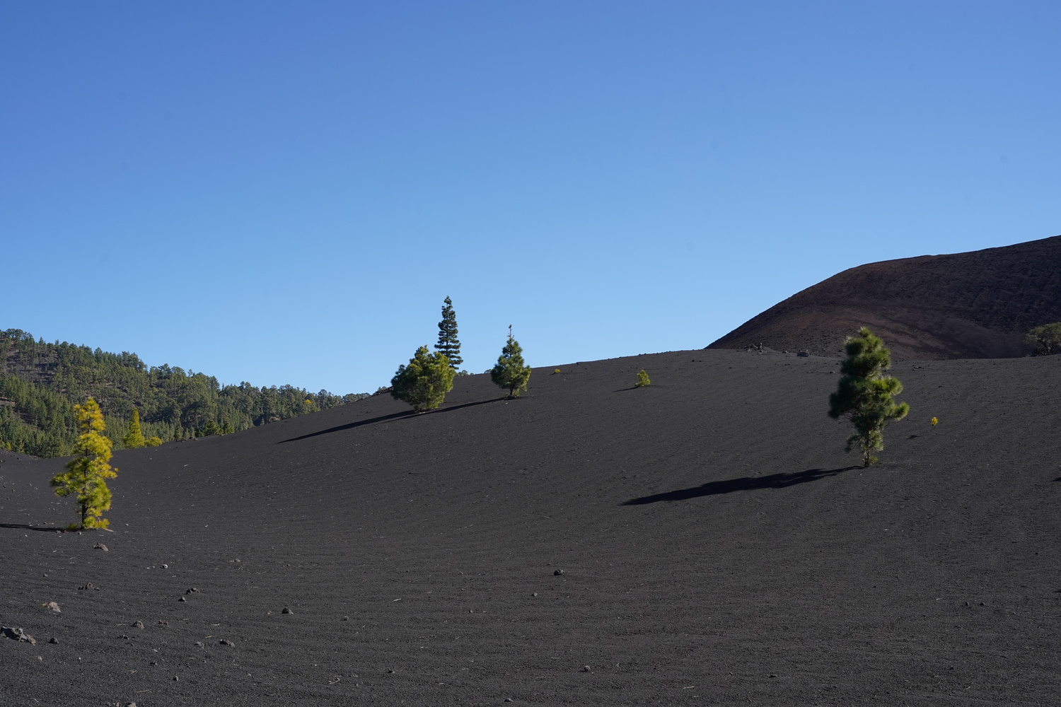 driving to Chinyero volcano