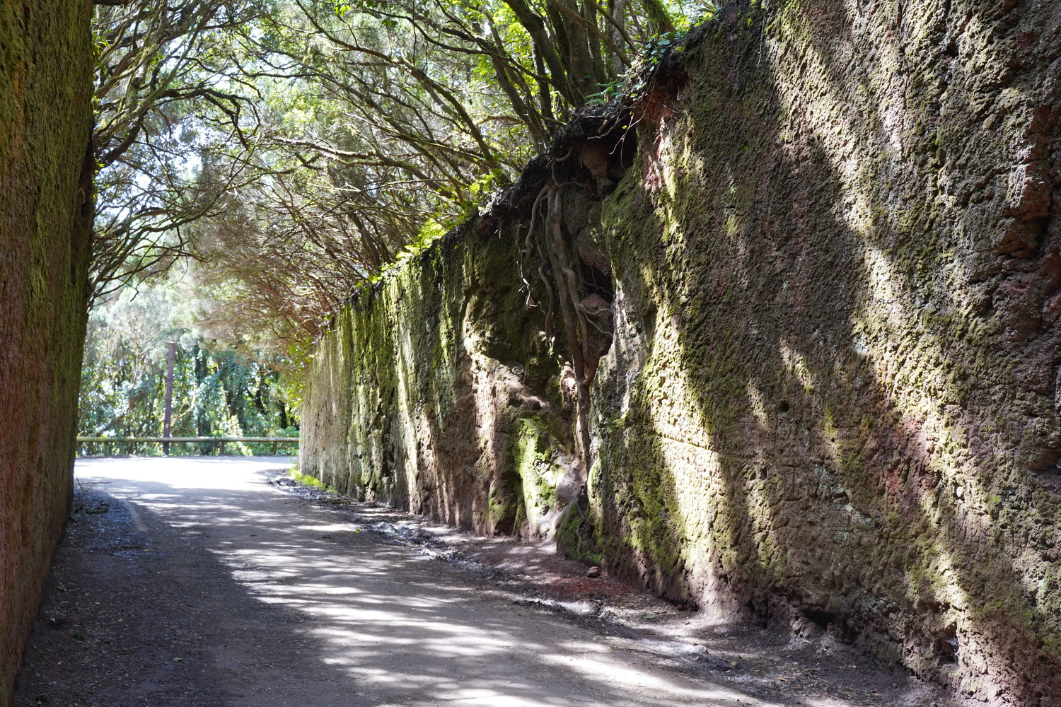 tenerifes nature parks